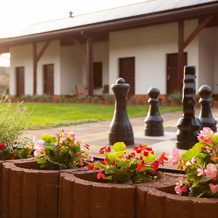 Nenufar Hotel Kościan