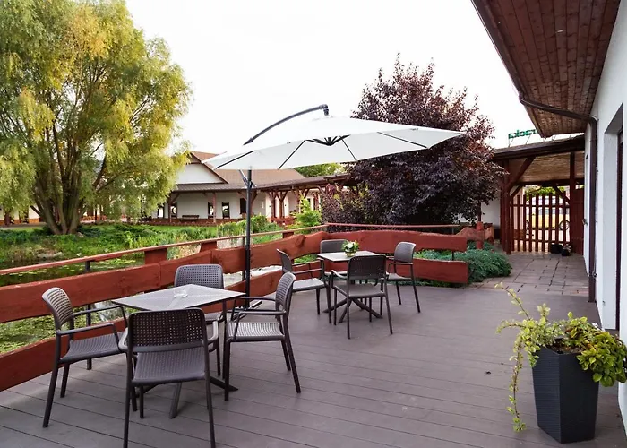 Hotel Hotel Nenufar Koscian