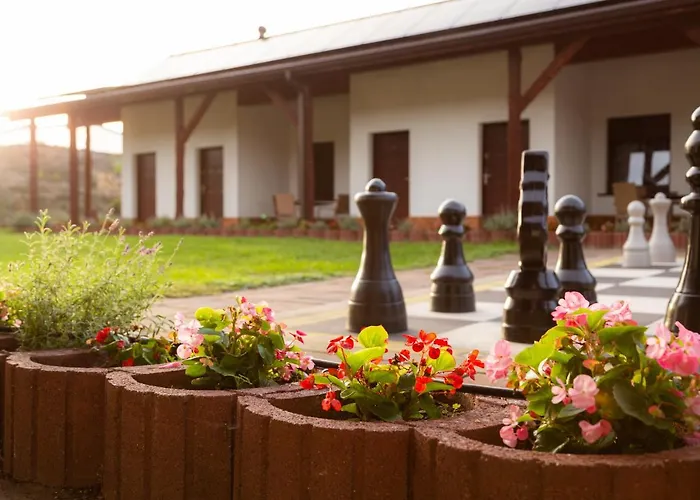 Hotel Nenufar Hotel Koscian