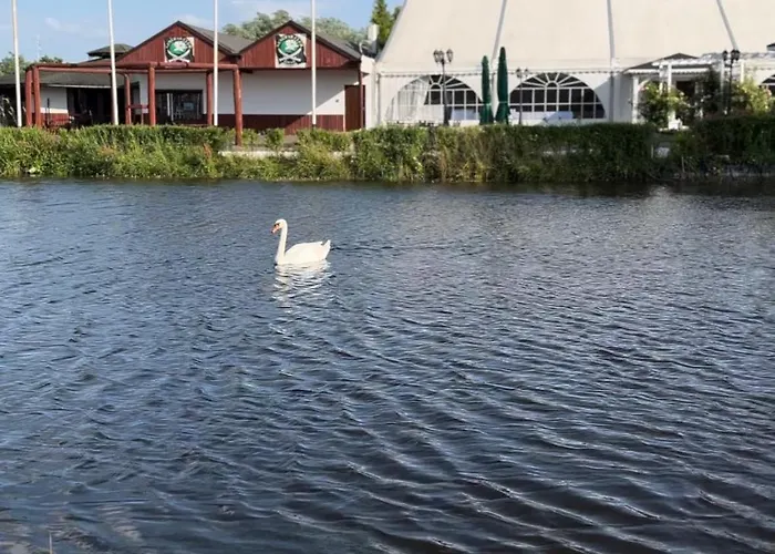 Hotel Nenufar Hotel Koscian